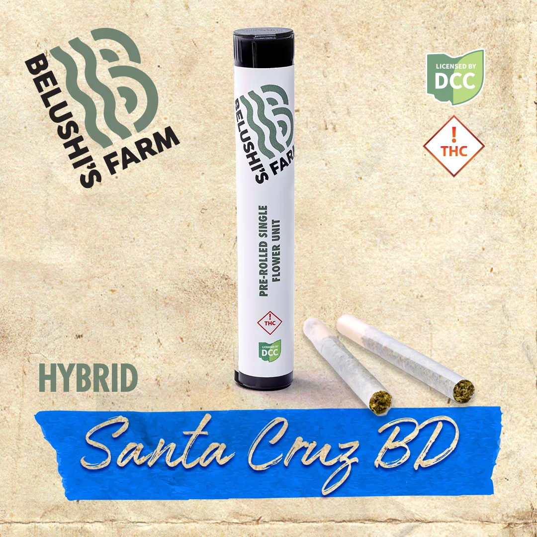 Santa Cruz Bd