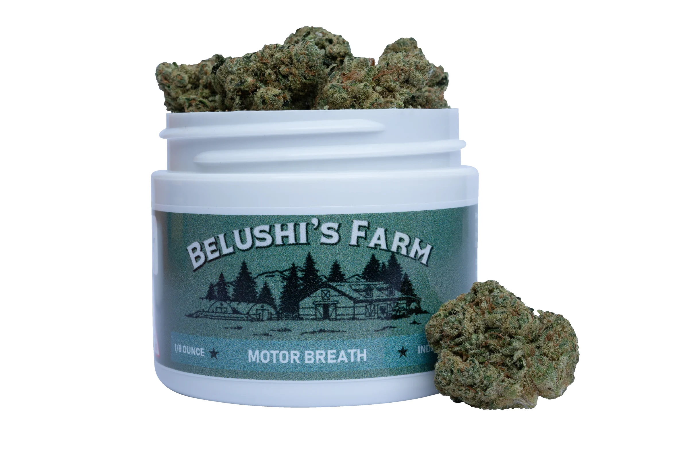 Motor Breath