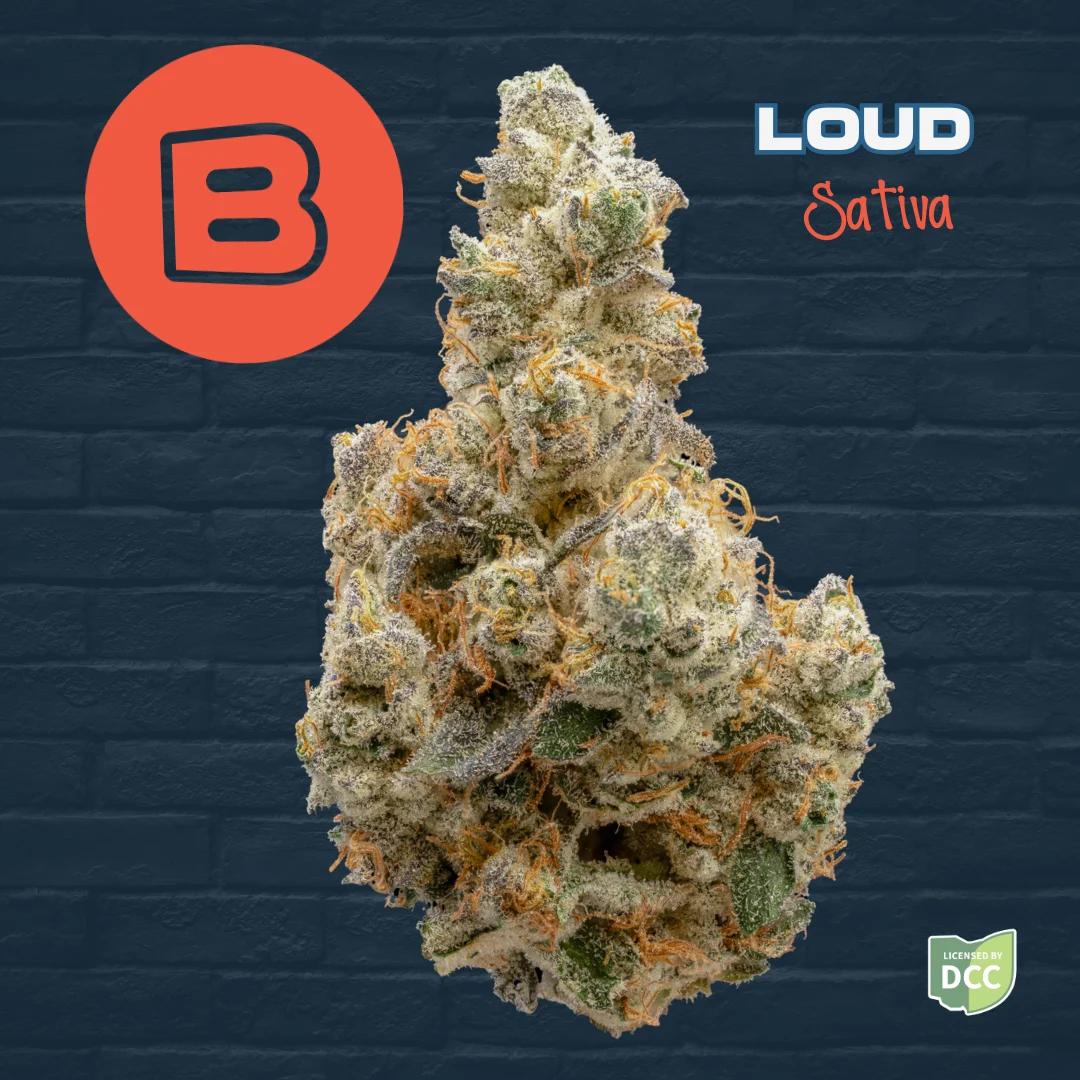 Loud