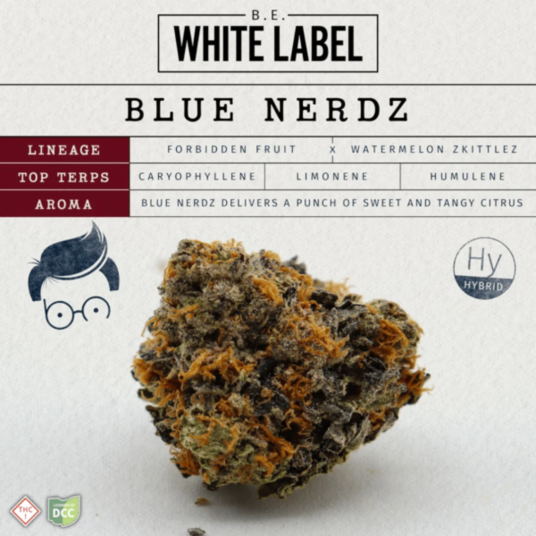 Blue Nerdz