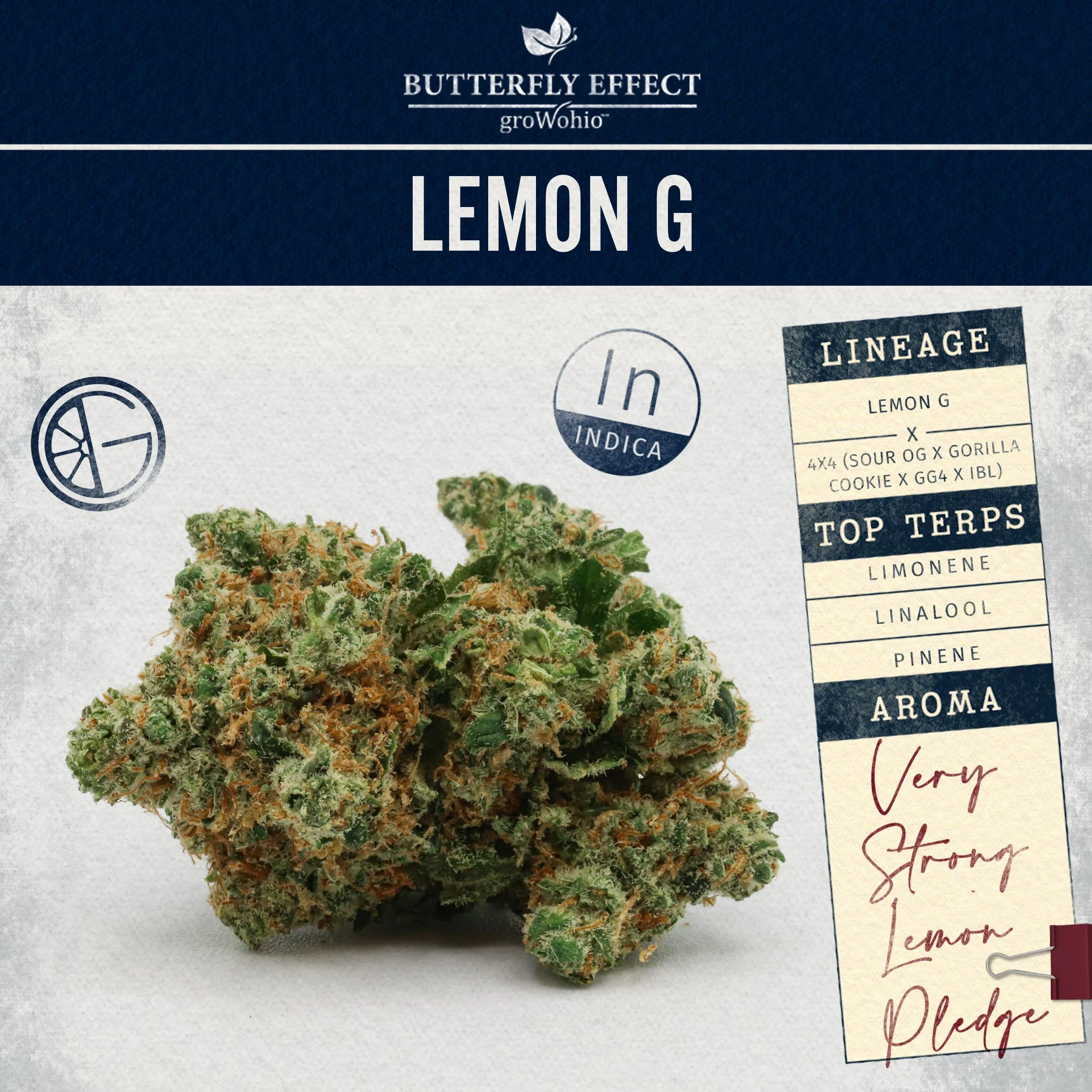 Lemon G