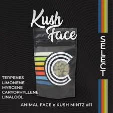 Kush Face #1