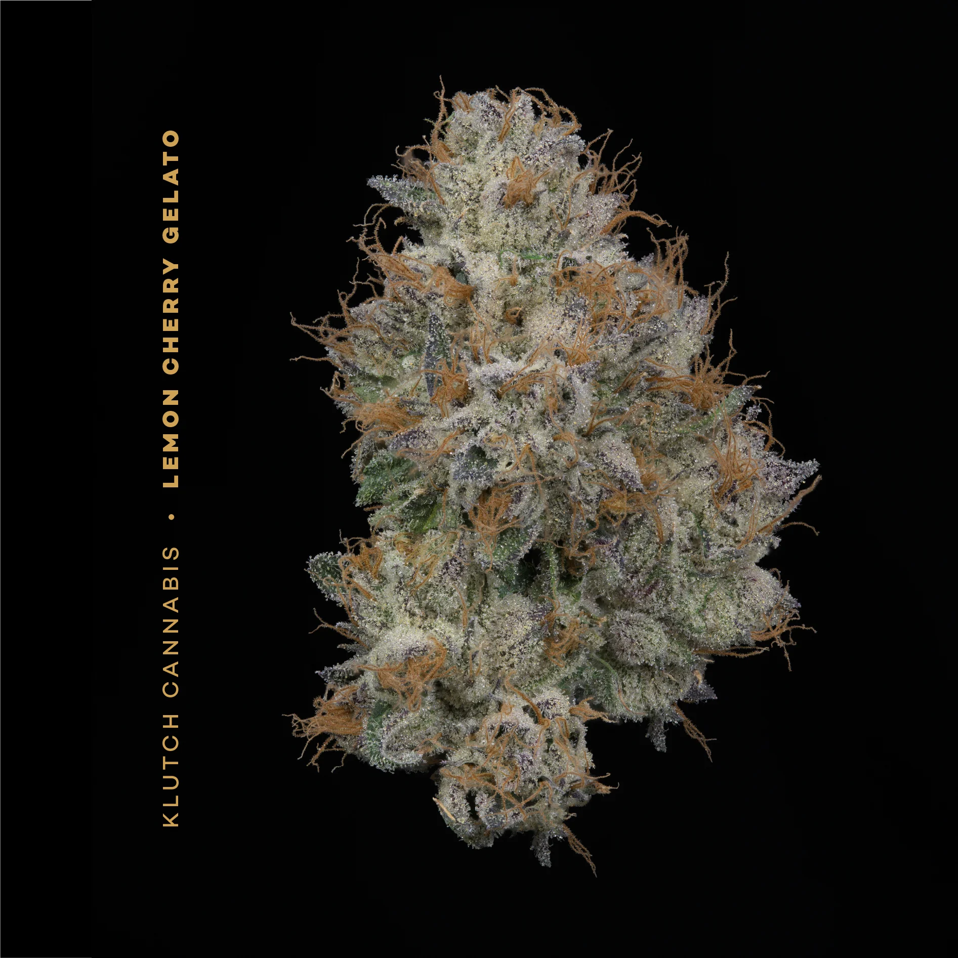 Lemon Cherry Gelato