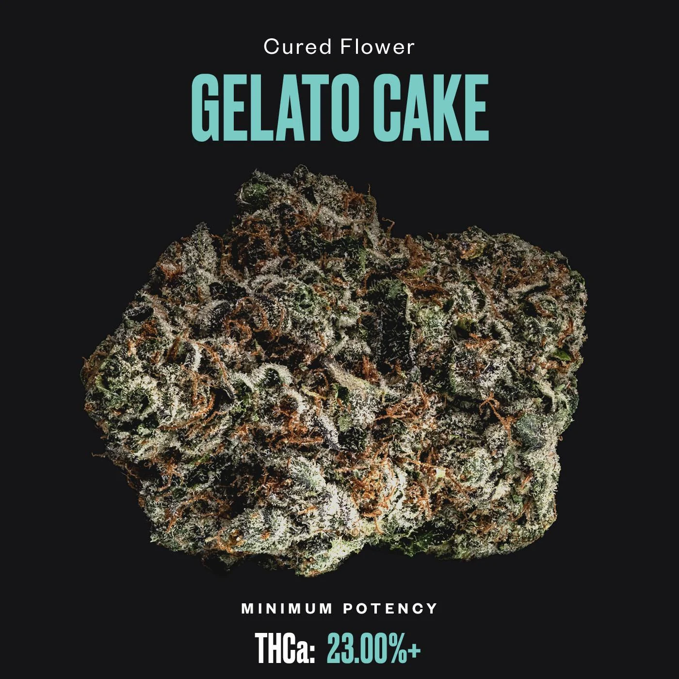 Gelato Cake