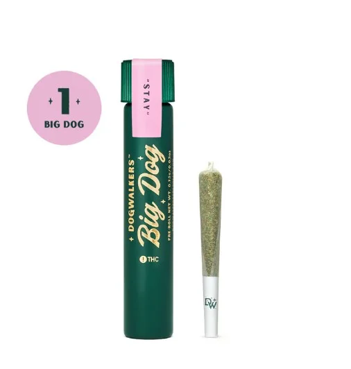 Sneak Attack Og