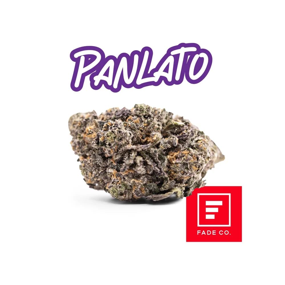 Panlato