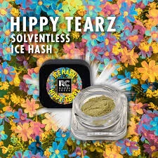 Kings Fire