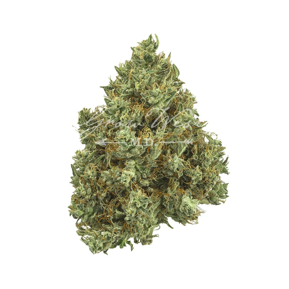 Lilac Diesel