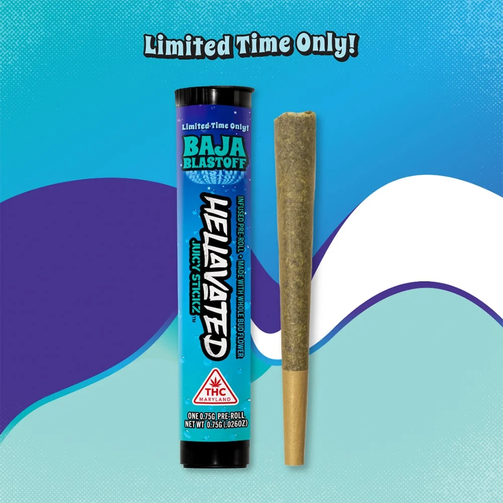 Baja Blastoff