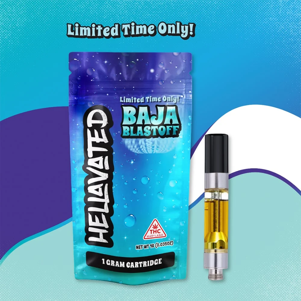 Baja Blastoff