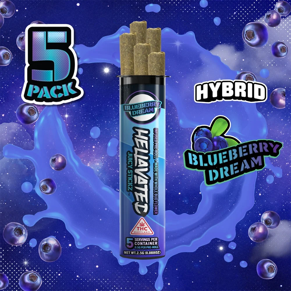Blueberry Dream
