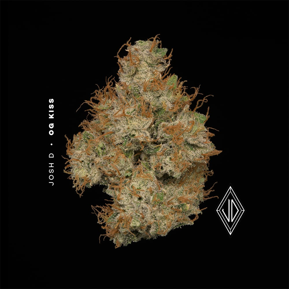 Og Kiss