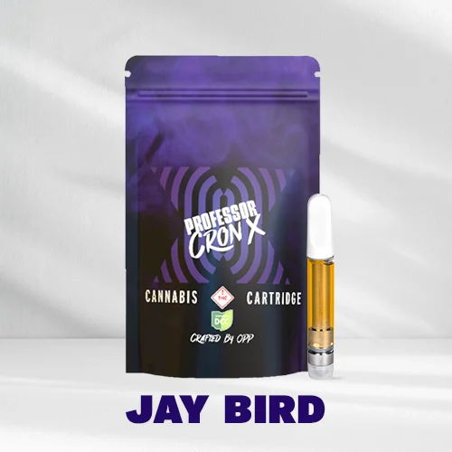 Jay Bird