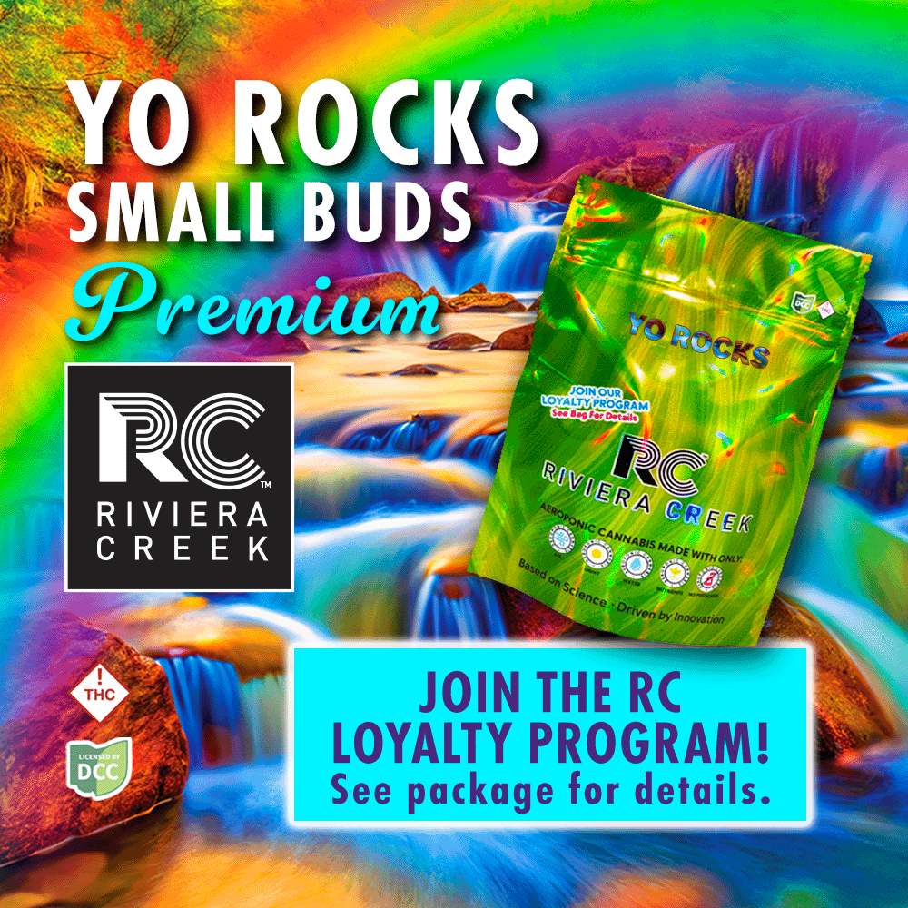 Yo Rocks