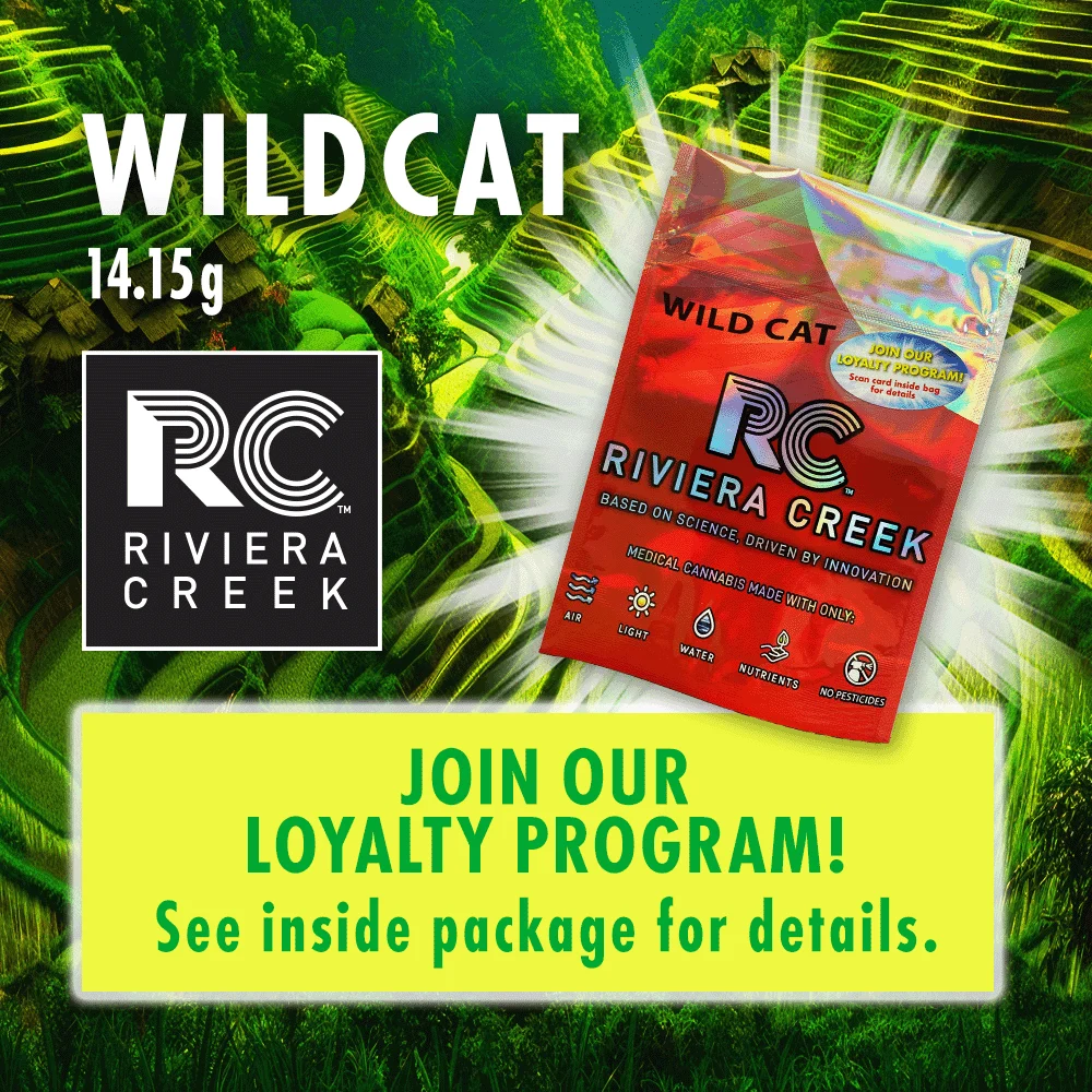 Wild Cat
