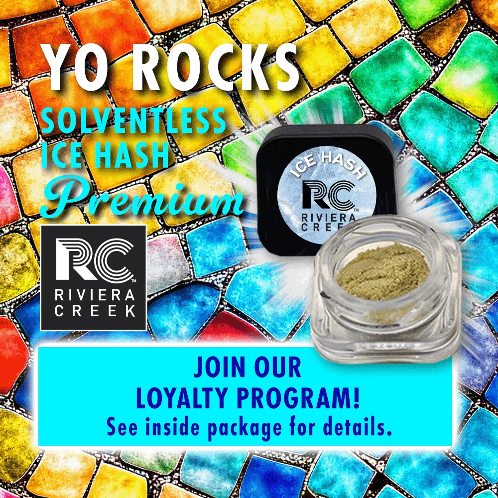 Yo Rocks