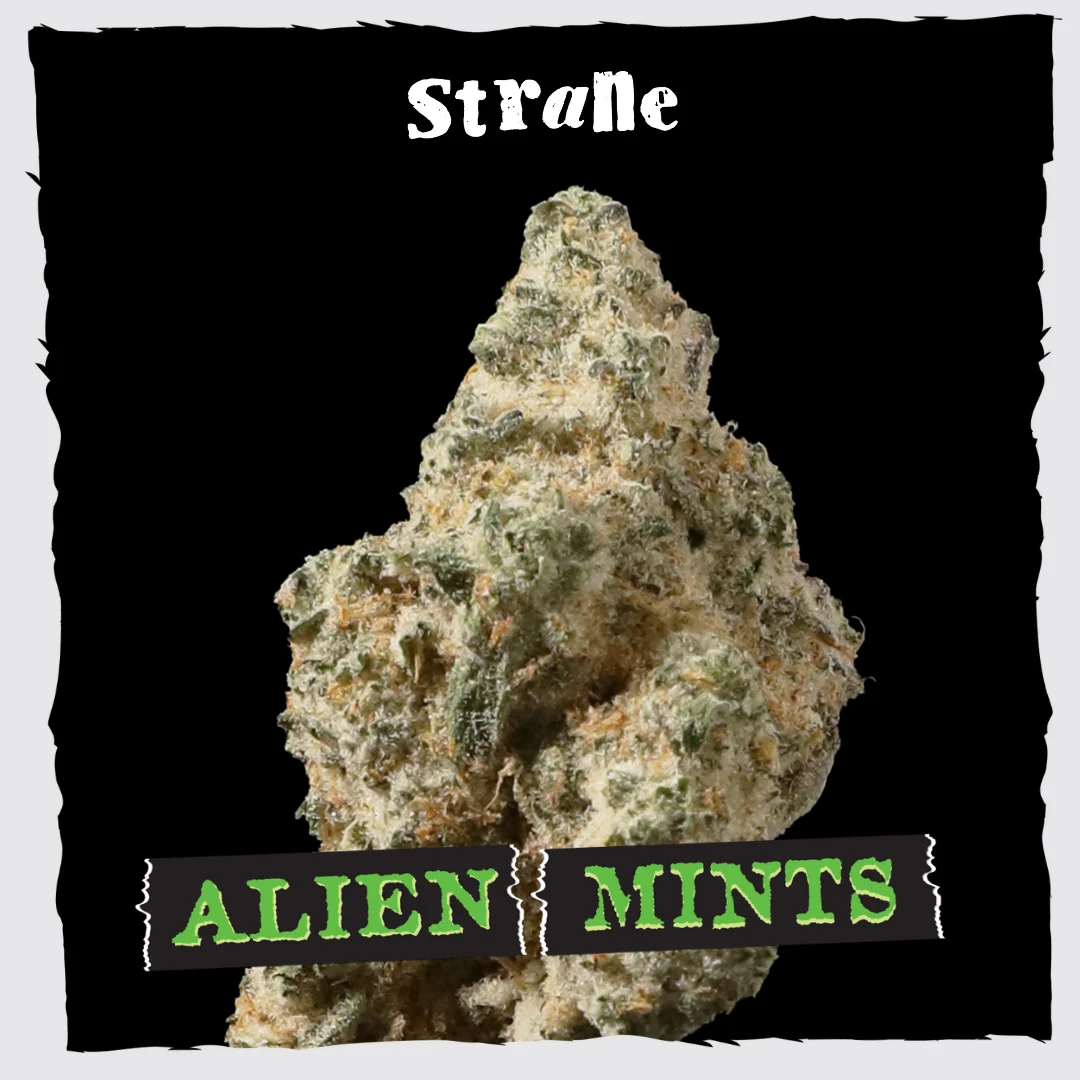 Alien Mints