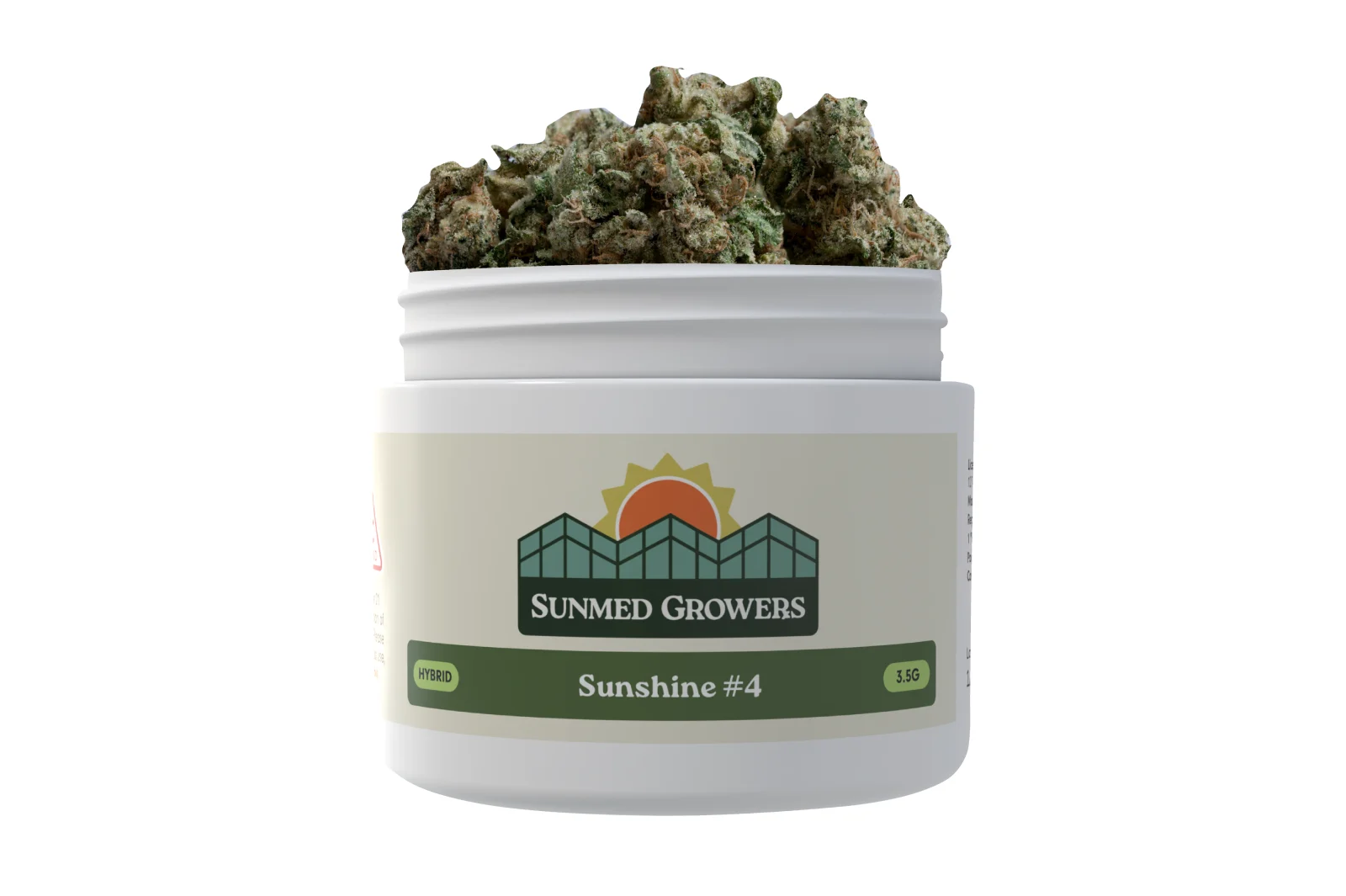 Sunshine #4