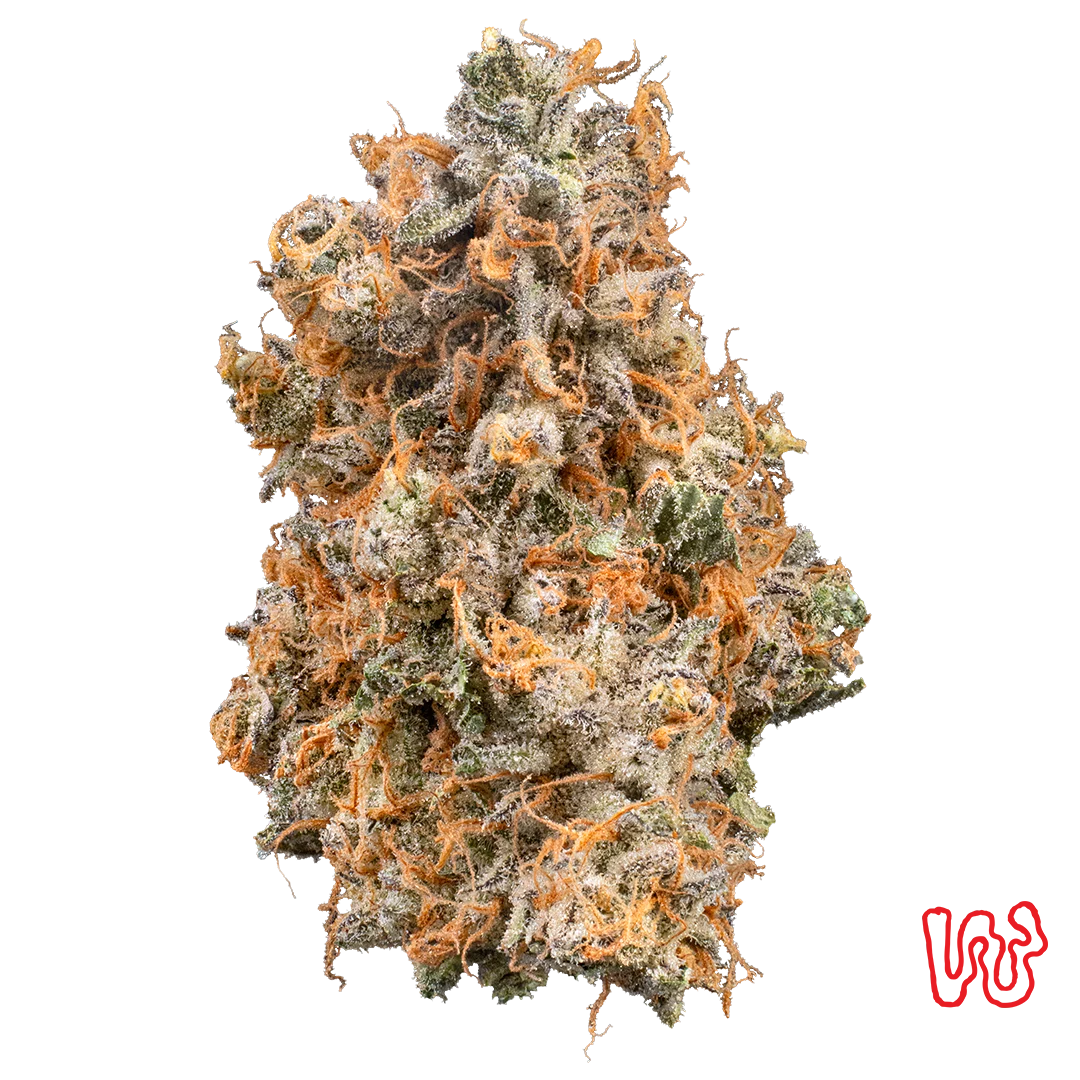 Grapehead