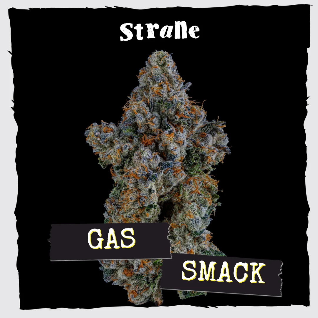 Gas Smack
