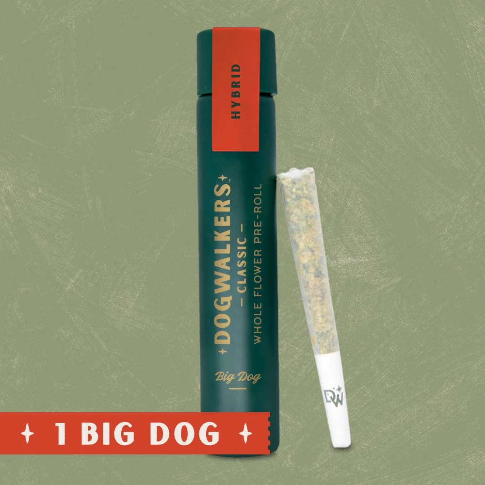 Big Dog Stay