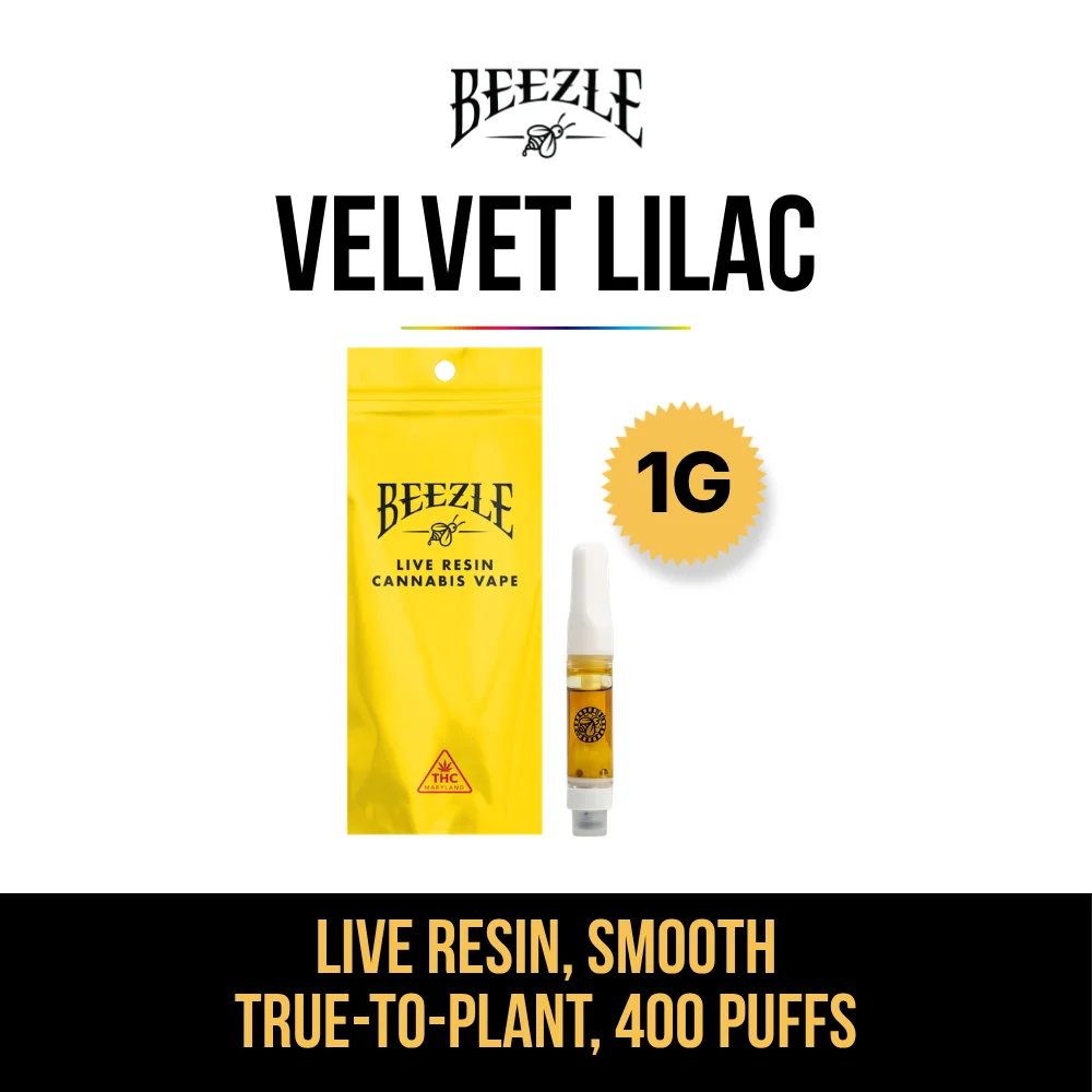 Lilac Diesel