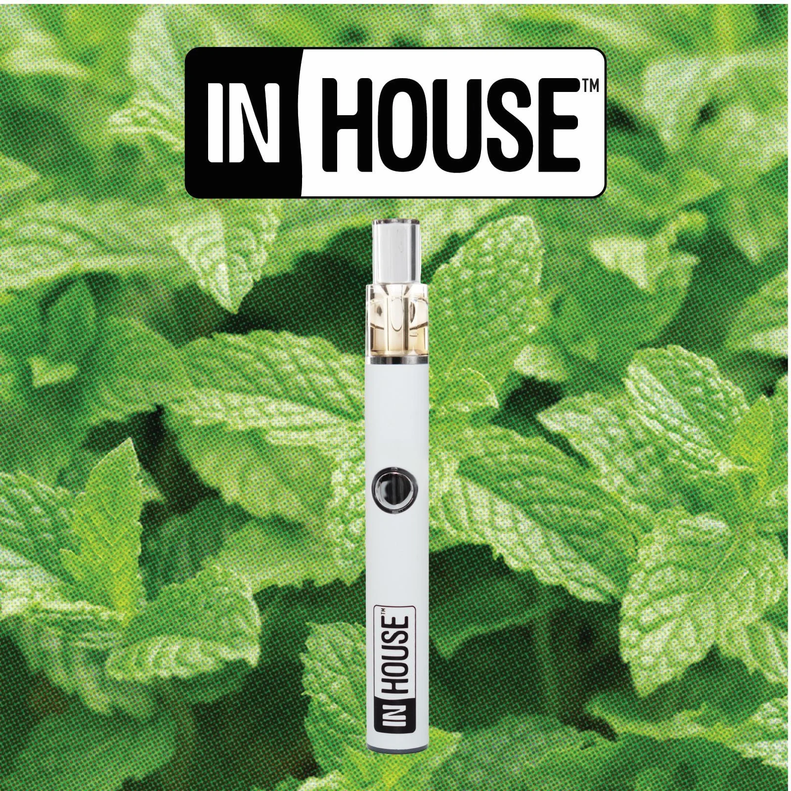 Cool Mint 1:1