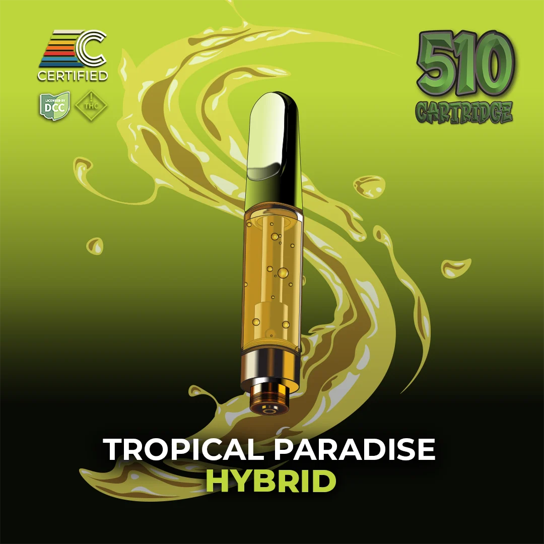 Tropical Paradise