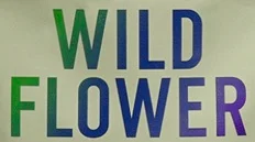 Wildflower