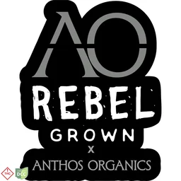 Rebel X Anthos