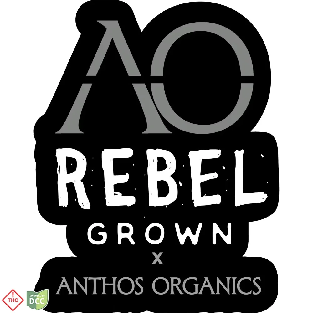 Rebel X Anthos